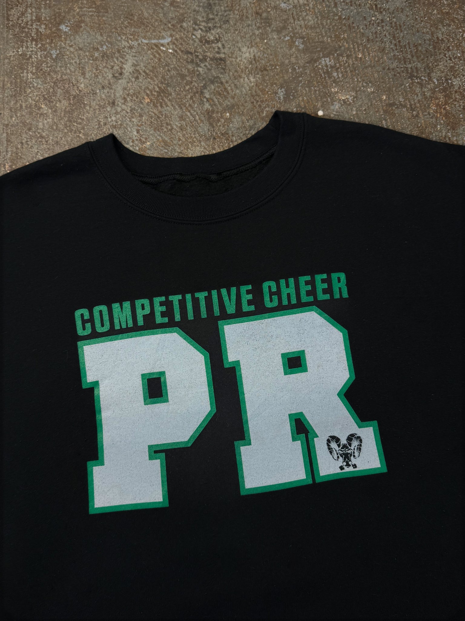 COMPETITIVE CHEER SWEATER